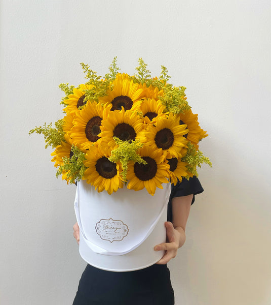 To The Sun