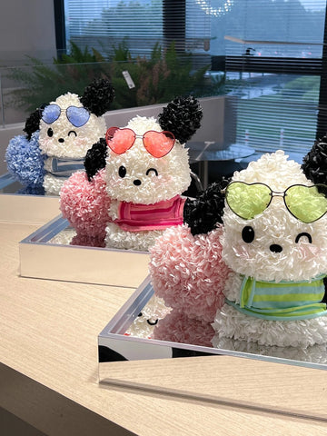 Sunglasses Pachacco - everlasting flower