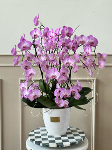 Pearls and Orchids