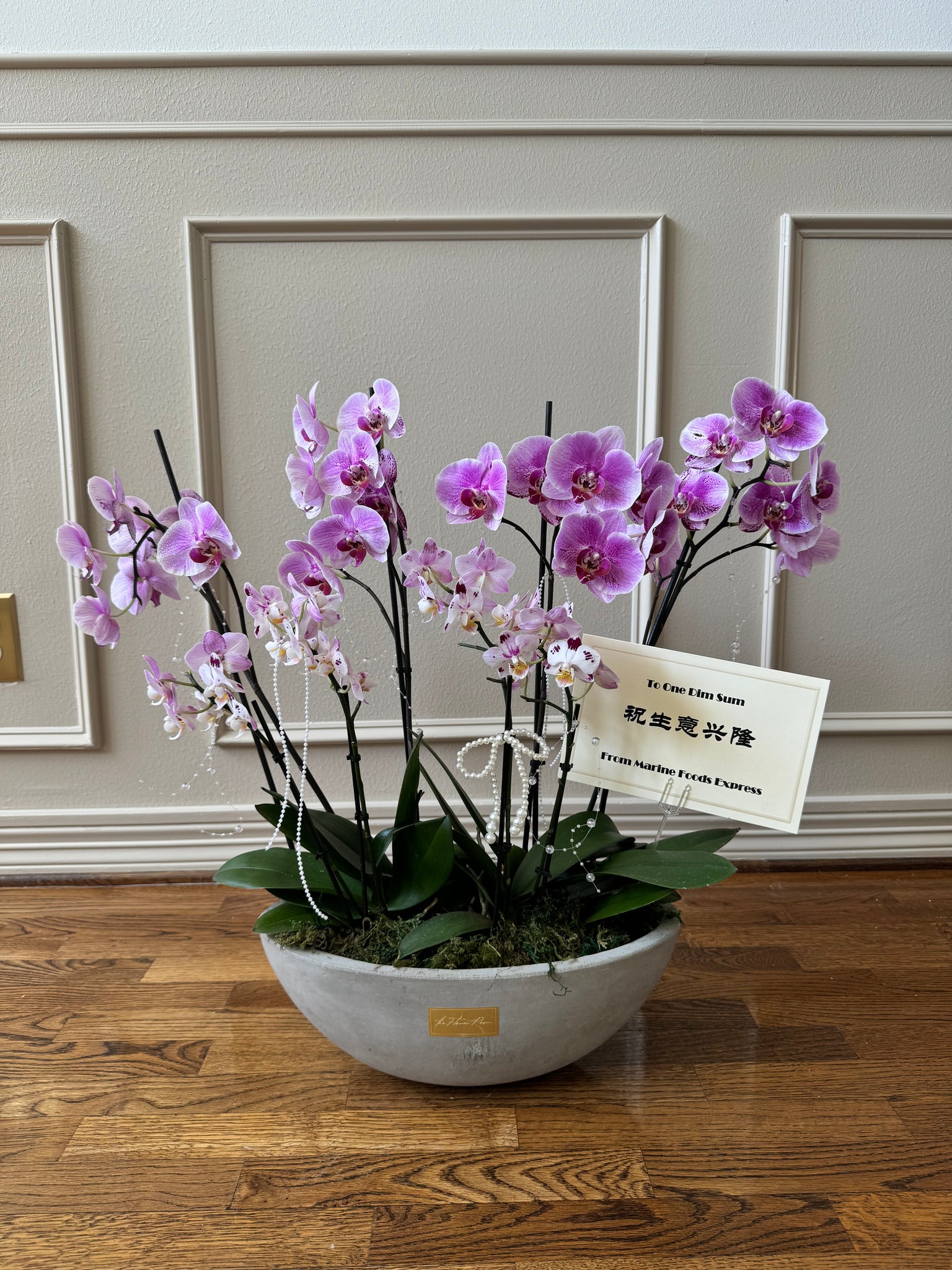The Orchid