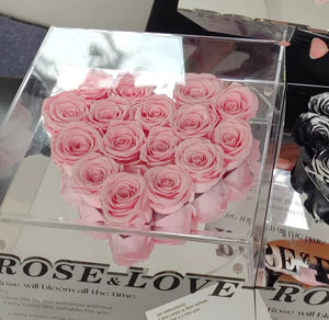 Rose & Love