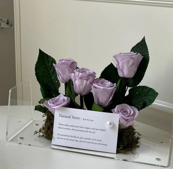 Gardener’s Purse - everlasting roses