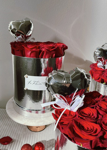 Silver Galaxy - Valentine’s Day