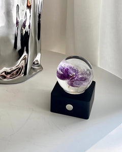 The Orchid Night Light