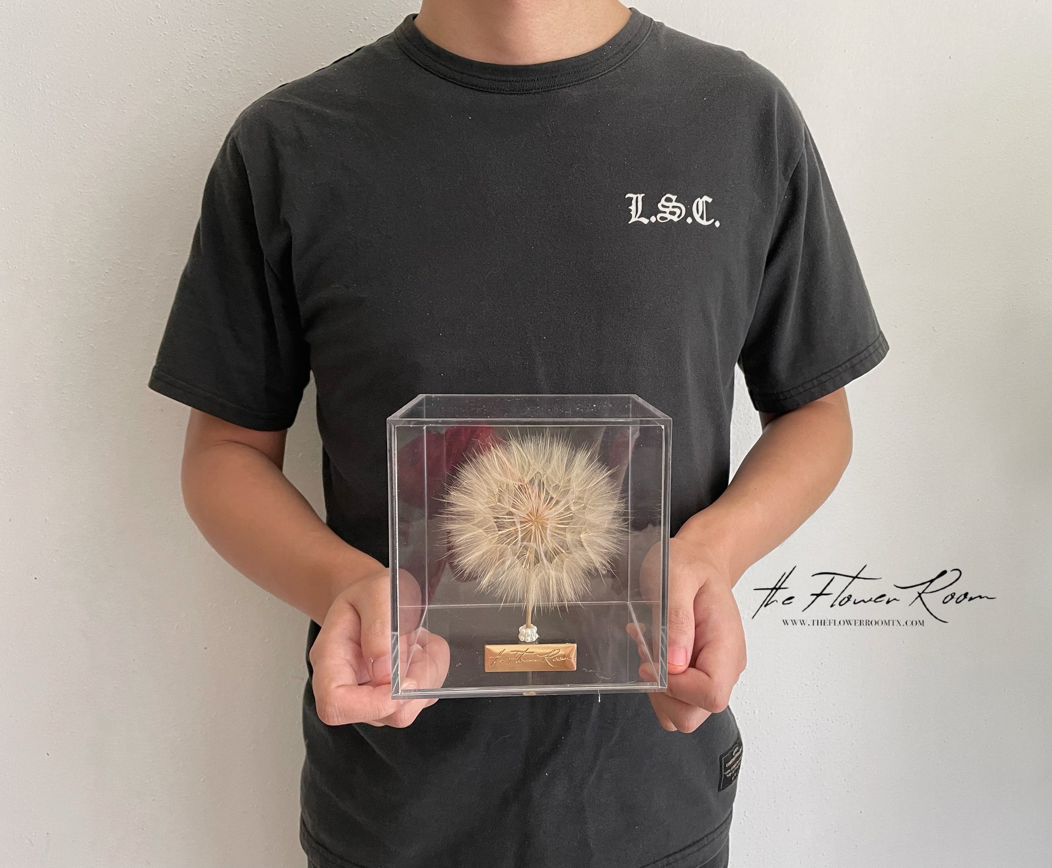 Delicately Dandelion - everlasting flower