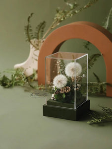 Dandelion Garden - everlasting flower