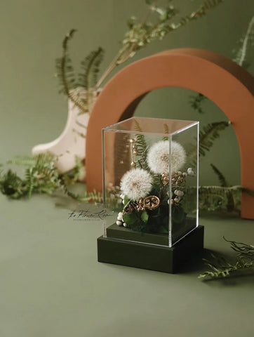 Dandelion Garden - everlasting flower