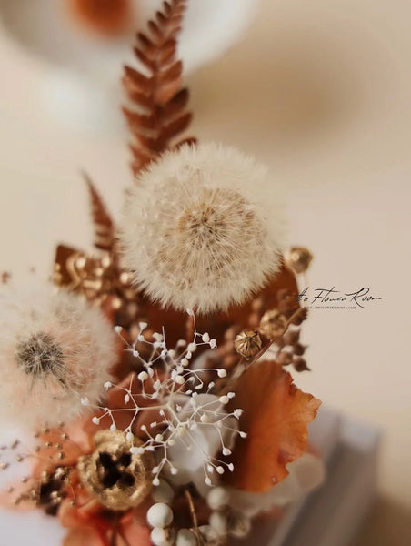 Dandelion Garden - everlasting flower