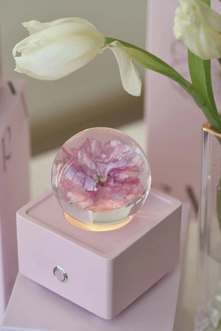 Sakura Night Light - w/ Bluetooth Speaker