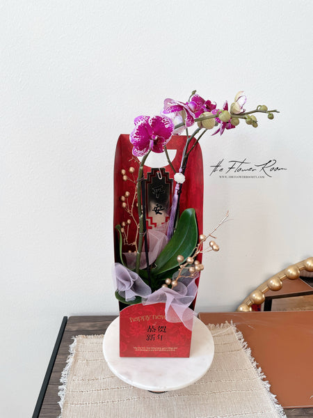 2023 Lunar New Year Orchids