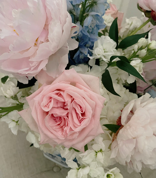 Elegant Porcelain