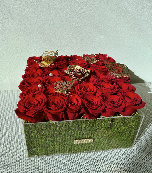 Rose Garden