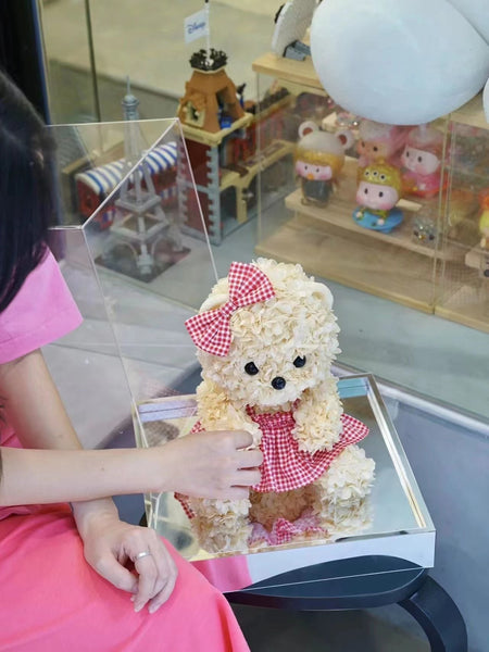 Lina Bear - everlasting flower